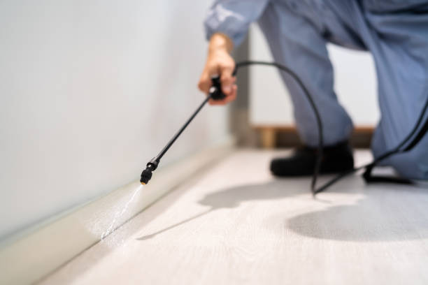 Licensed Mosquito Control service in Hillsboro, IL - Show Me Pest Control