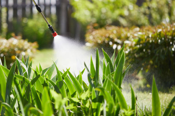 24/7 Emergency Mosquito Control experts in Hillsboro, IL