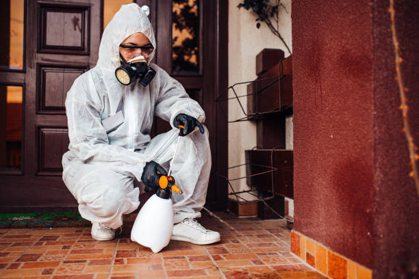 Reliable Mosquito Control contractor in Hillsboro, IL by Show Me Pest Control